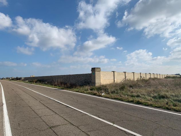 LECCE 5 ETTARI TERRENO AGRICOLO - Foto 4