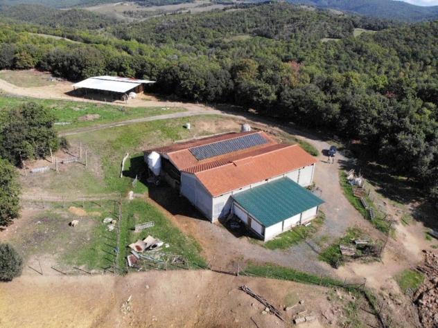 Casale in vendita a Montecatini Val di Cecina - Foto 14