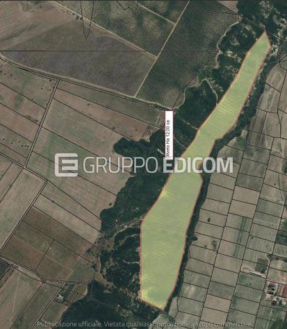Terreno in vendita a Pisticci - Rif. 4549508 - Foto 4
