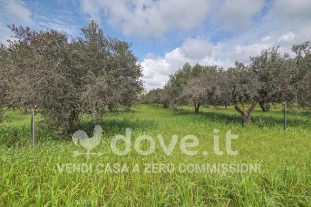 Villa di 145 m² con 3 locali in vendita a Marsala - Foto 2