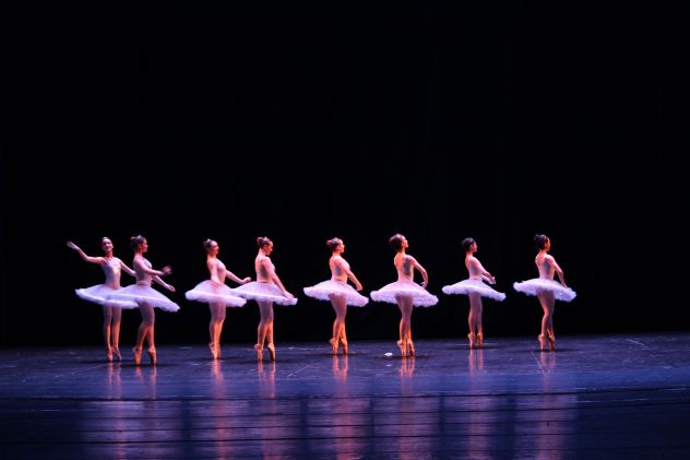 VIDEO PROFESSIONALI PER SAGGI DANZA E RECITE SCOLASTICHE