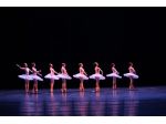 VIDEO PROFESSIONALI PER SAGGI DANZA E RECITE SCOLASTICHE