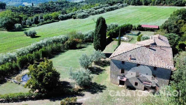 Rustico casale in Vendita in zona SAN DALMAZIO con giardino - Foto 3