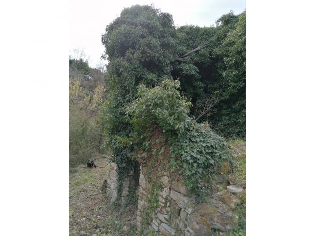 Agricolo in Contrada Puglisi - Foto 2