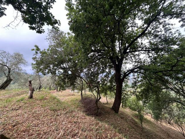 Agricolo in vendita a Arcola - Foto 18