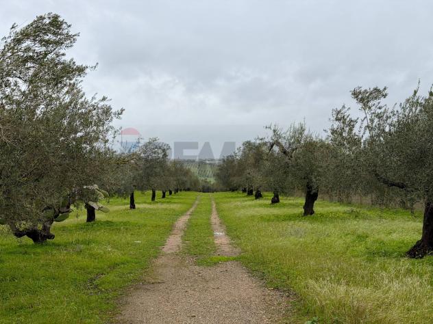 Terreno in vendita a Chiaramonte Gulfi