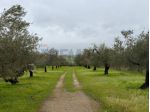 Terreno in vendita a Chiaramonte Gulfi
