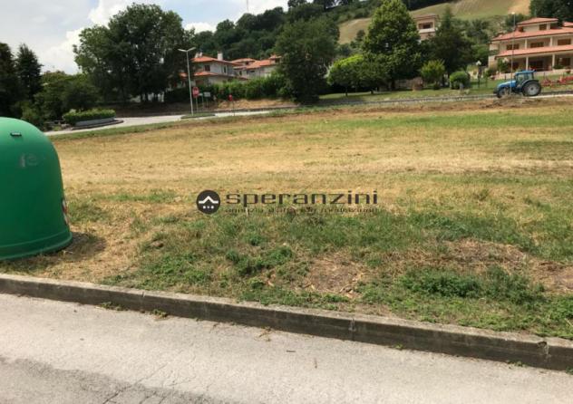 Lotti edificabili in zona residenziale di espansione, comune di colli al metauro
se sogni di costruire la tua casa ideale in un ambiente sereno e circ - Foto 5