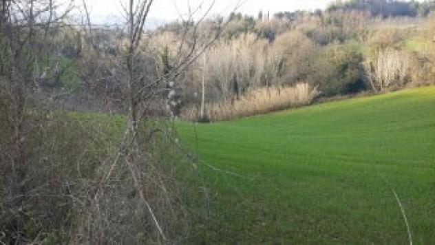 Seminativo in vendita a Mondavio - Foto 4
