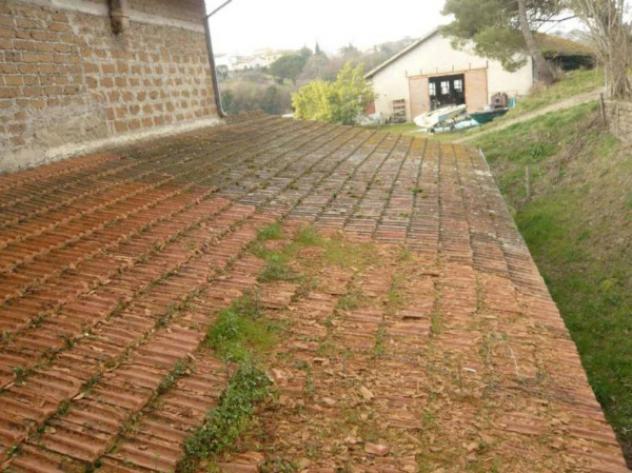 Immobile in asta di 58454 m² in vendita a Montefiascone - Foto 12