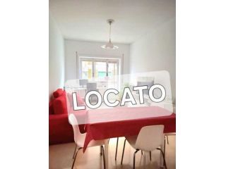Bilocale in affitto a Roma
