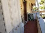 Appartamento in affitto a Rosignano Marittimo 40 mq  Rif: 543630
