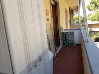 Appartamento in affitto a Rosignano Marittimo 40 mq  Rif: 543630