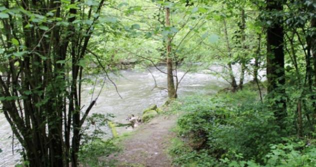 Immobile in asta di 20 m² in vendita a Besana in Brianza - Foto 9