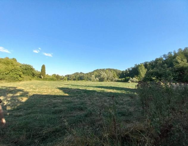 TERRENO AGRICOLO di 4 vani e di 37220 mq (CASTELFIORENTINO) rif. C 04 - Foto 4