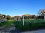 Terreno edificabile in vendita a Nettuno