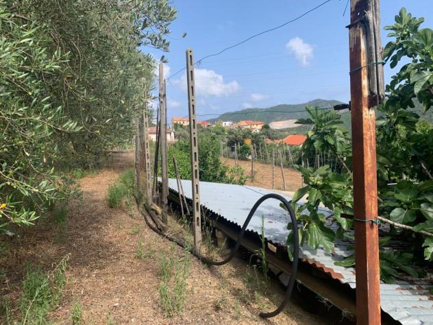 Terreno edificabile in vendita a Vado Ligure - Foto 16