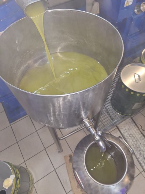 Olio extravergine di oliva biologico