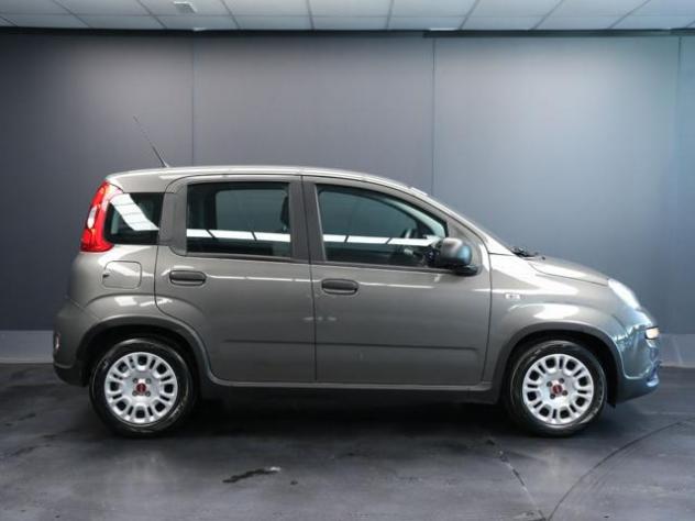 FIAT Panda 1.0 FireFly S&S Hybrid rif. 23817010 - Foto 7