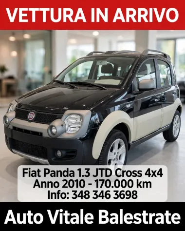 Fiat Panda 1.3 JTD Cross 4x4