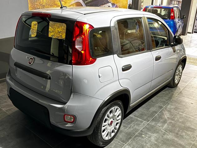 Fiat Panda 1.0 FireFly S&S Hybrid 70cv KM 20'277 - Foto 4