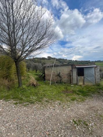 Annesso agricolo in vendita a Capannoli 6500 mq Rif: 1326738 - Foto 2