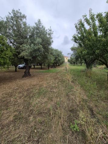 Terreno edificabile in vendita a Lamezia Terme