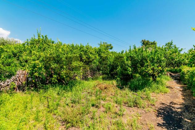 Terreno in vendita a Santa Venerina - Foto 10