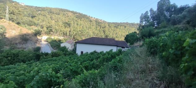 Singola in vendita a Palizzi - Foto 10
