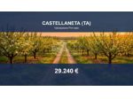 Immobile in asta di 51318 m² in vendita a Castellaneta