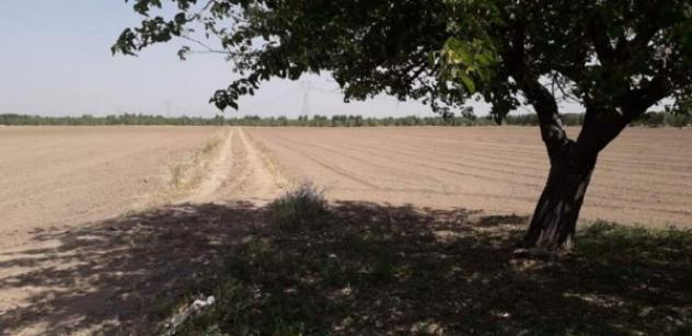 Immobile in asta di 25280 m² in vendita a Cerignola - Foto 3