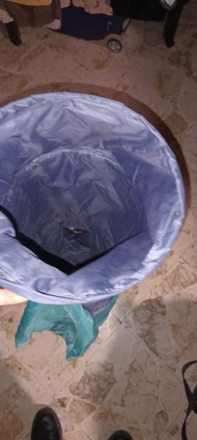 Coso lungo non indentificato - Foto 2