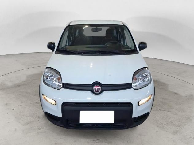 FIAT Panda 1.0 FireFly 70cv S&S Hybrid KM ZERO - Foto 2