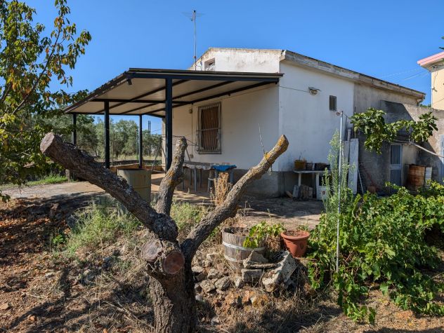 Monte di Cassano: graziosa casetta rurale + mq. 2.928 di terreno - Foto 9