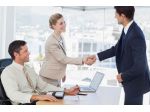 consulente commerciale