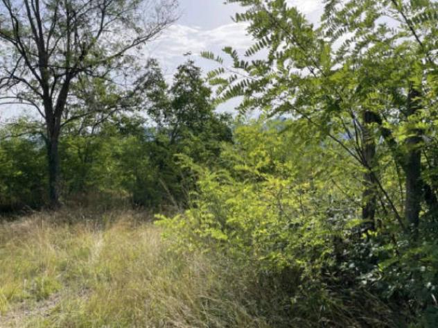 Immobile in asta di 352 m² con più di 5 locali in vendita a Santa Vittoria in Matenano - Foto 8