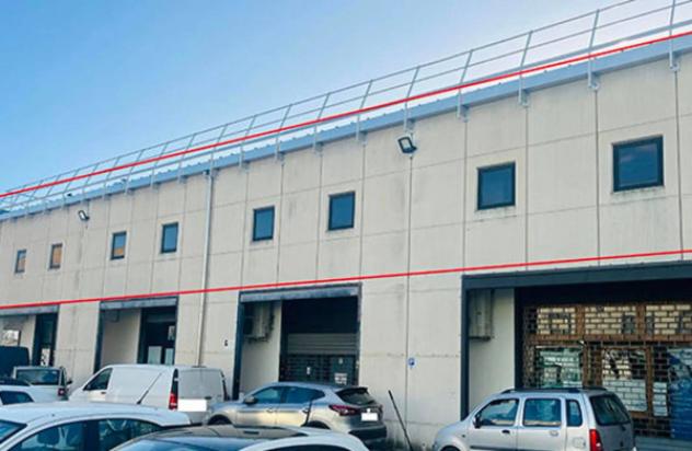 Immobile in asta di 816 m² con più di 5 locali in vendita a Grosseto - Foto 3