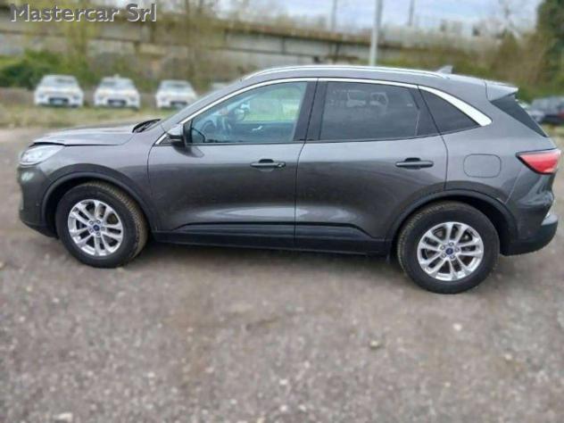 FORD Kuga Kuga III 1.5 ecoblue Titanium Business 2wd 120cv rif. 23819663 - Foto 3