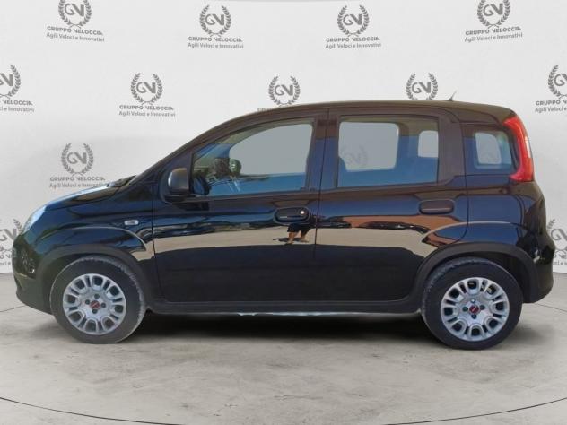 FIAT Panda 1.0 FireFly 70cv S&S Hybrid - Foto 10