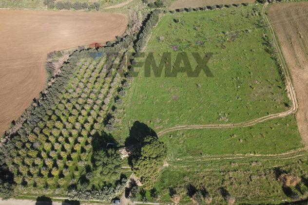 Terreno in vendita a Paternò - Foto 6