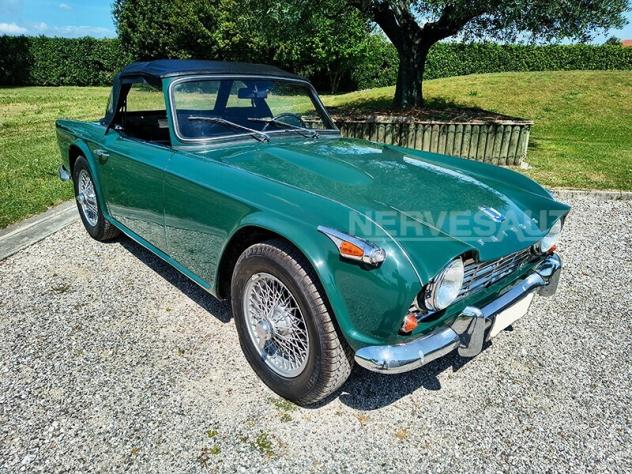 Triumph TR4 IRS Verde inglese | 1966 ASI Guida sinistra 2138 cc Ducati Bologna - Foto 6