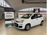 FIAT Panda 1.0 FireFly 70cv S&S Hybrid TUA A 237,00 AL MESE