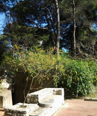Affitto mensile estivo Castellaneta marina (Ta) - Foto 6