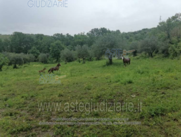 IMMOBILI-ALTRA CATEGORIA-Via Ponte Sereno
