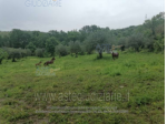 IMMOBILI-ALTRA CATEGORIA-Via Ponte Sereno