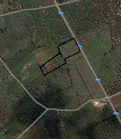 TERRENO DI 1 ha