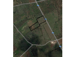 TERRENO DI 1 ha