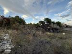 Agricolo in vendita a Mascalucia