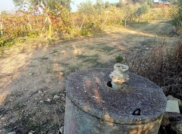 Uliveto in vendita a Mazara del Vallo - Foto 3