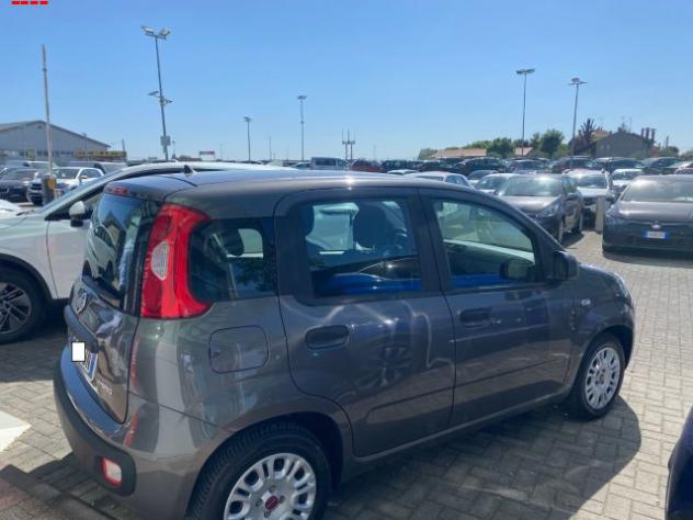 FIAT Panda 1.0 FireFly S&S Hybrid rif. 24077716 - Foto 4